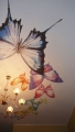 бабочки на натяжном потолке фотопечать